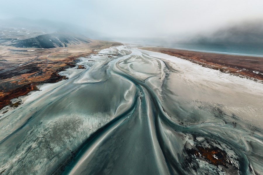 Blue Veins / Bláæðar